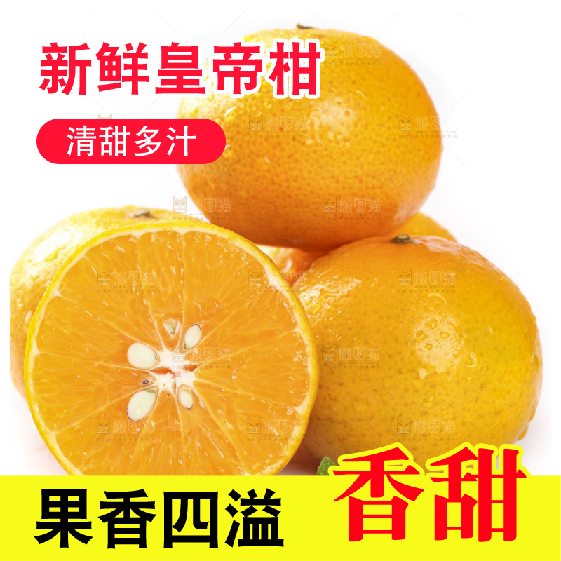 切开的皇帝贡柑放在白底上