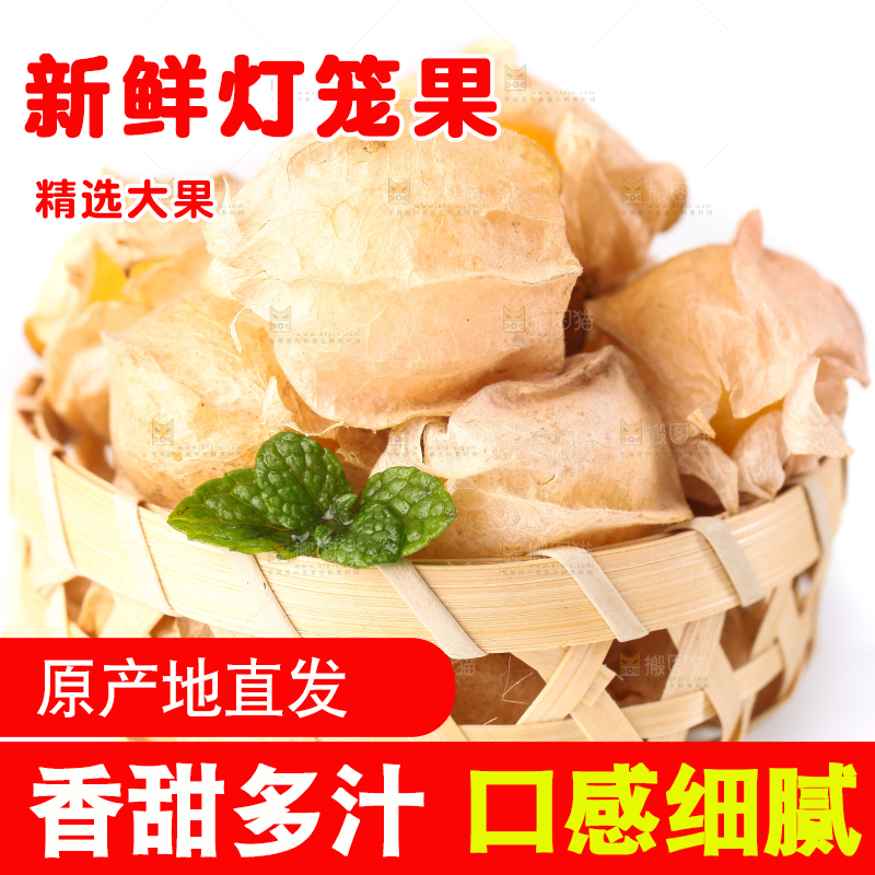 竹篮里放着菇娘果