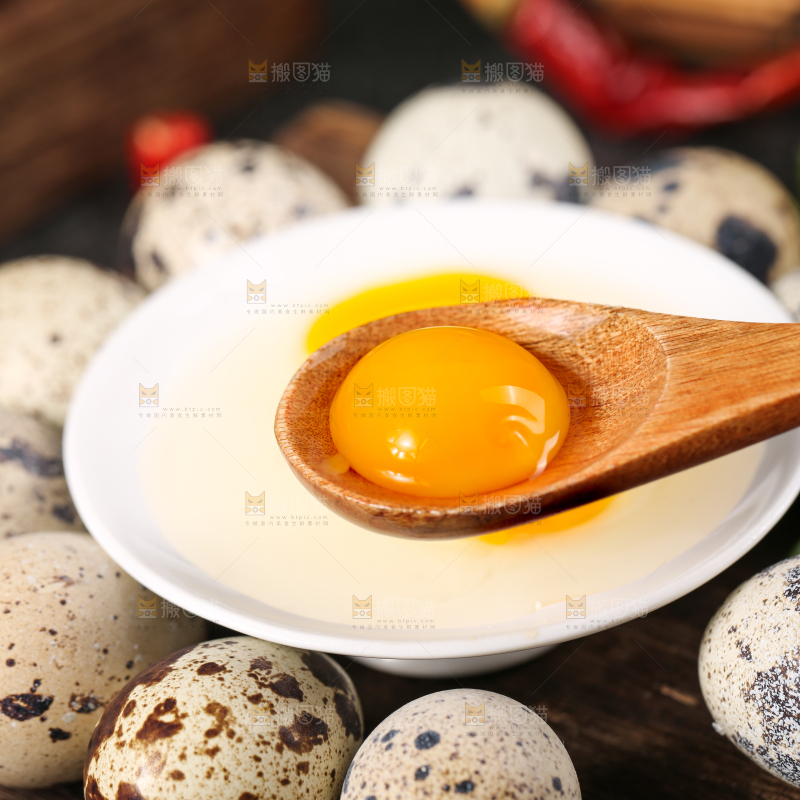 勺子里的新鲜鹌鹑蛋