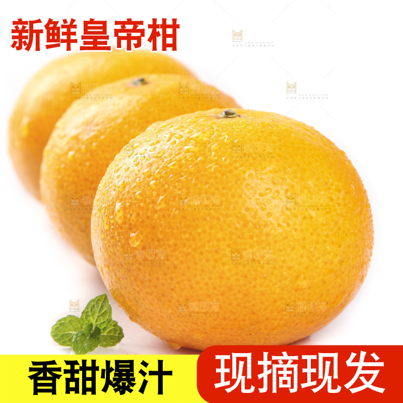 白底上的广西皇帝柑