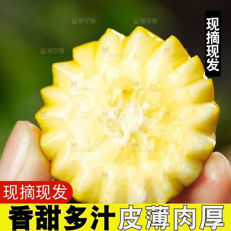 手里拿着金橘
