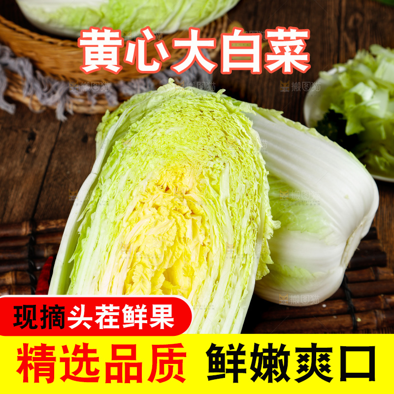 木底上放着切开的黄心大白菜