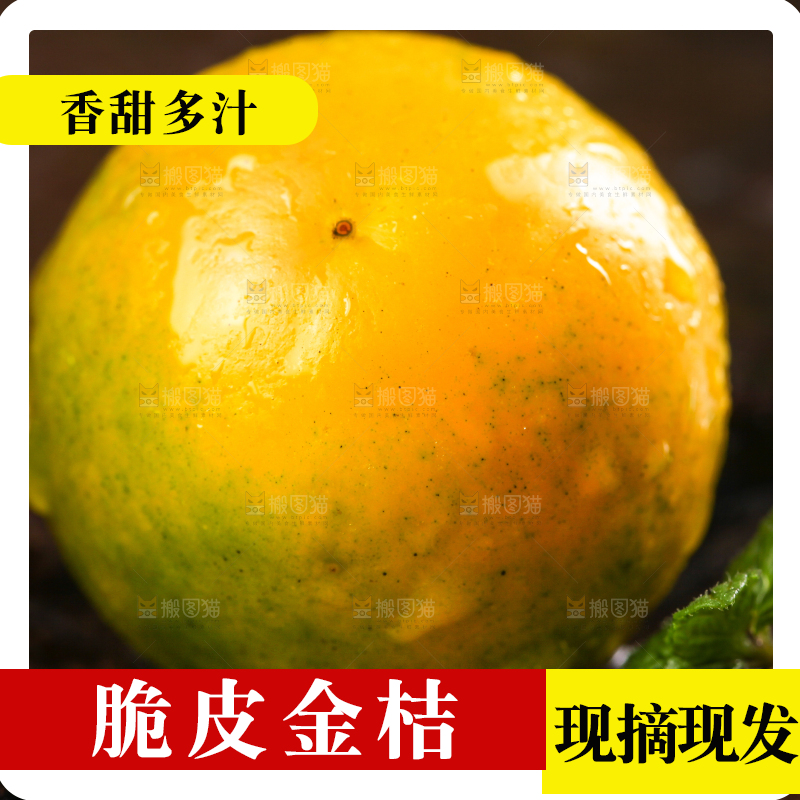 木底上摆放着金橘