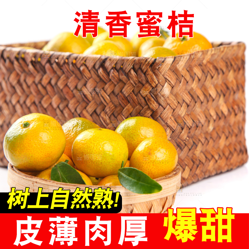 一筐清香蜜橘放在白底上