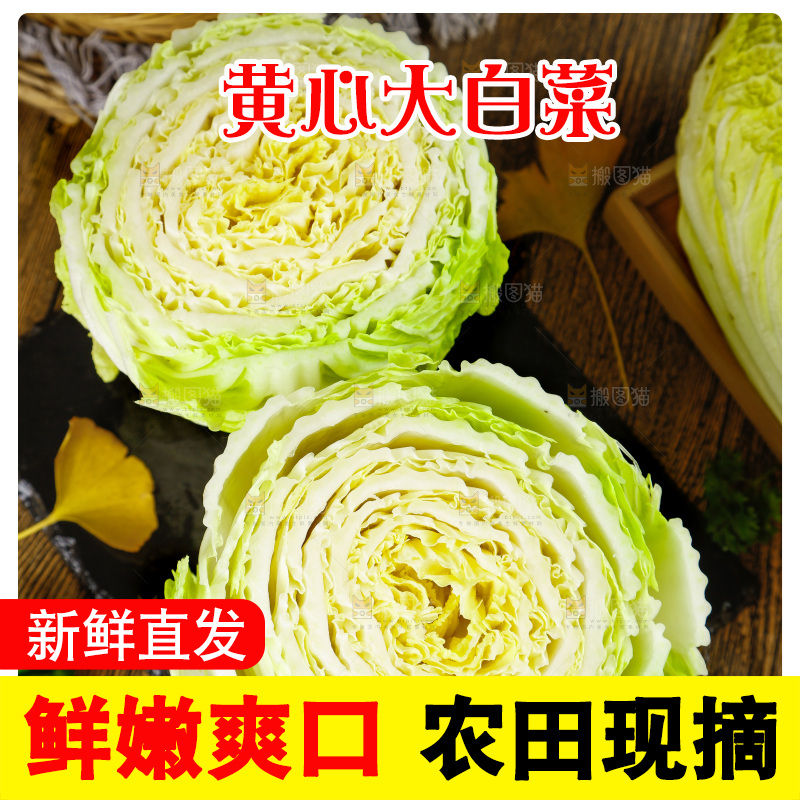 木底上放着切开的山东大白菜