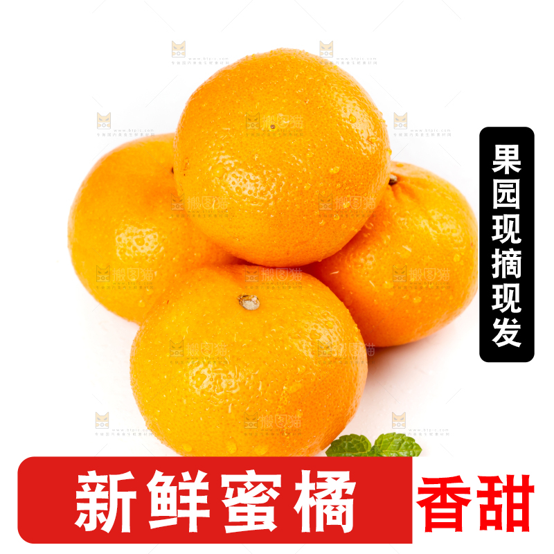 白底上摆放着蜜橘