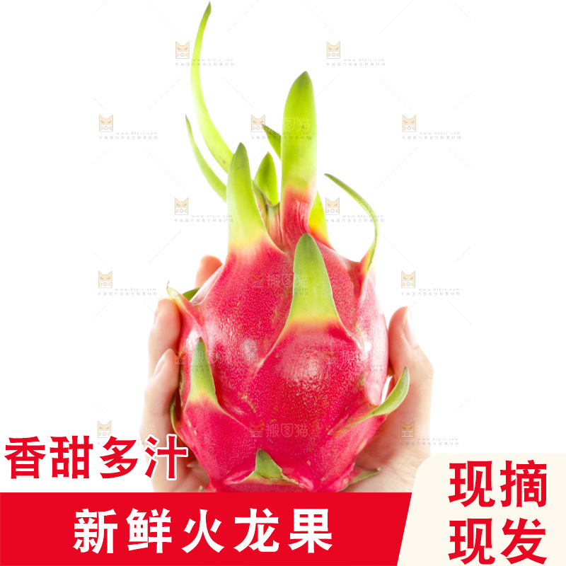 手里捧着火龙果