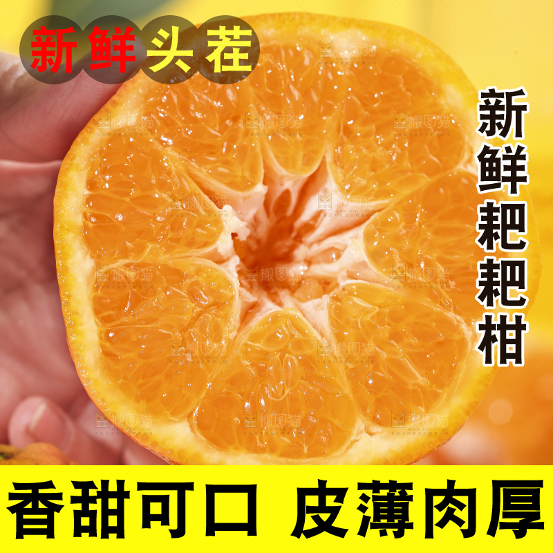 手拿切开的春见耙耙柑