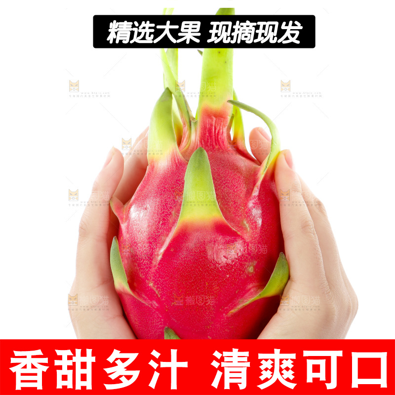 手里捧着火龙果