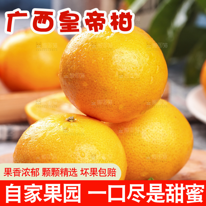 木板上的皇帝贡柑