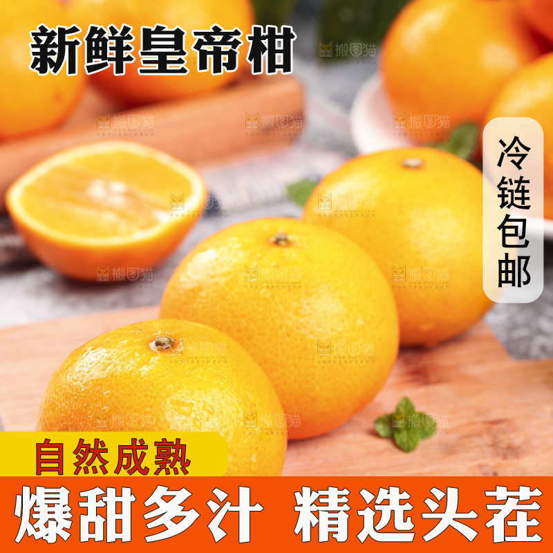 木板上的皇帝贡柑