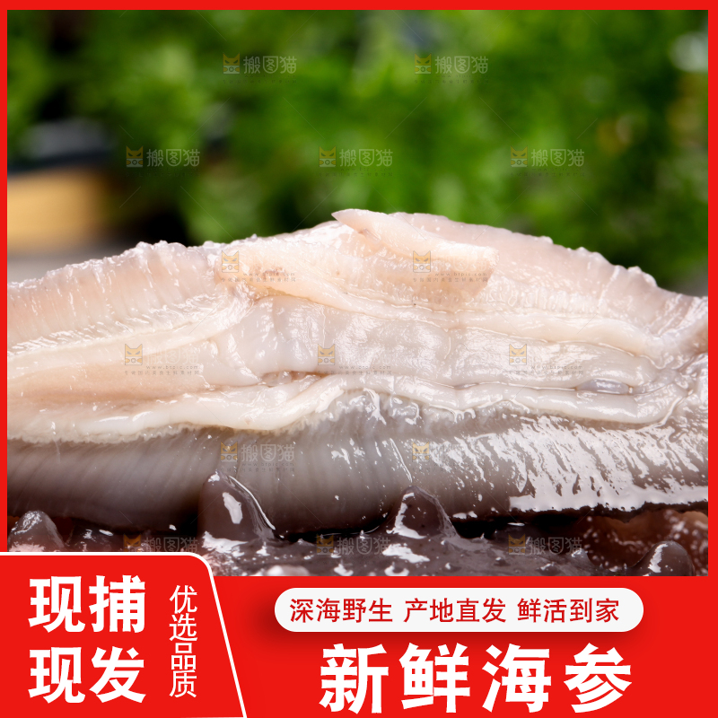 黑底上切开的海参