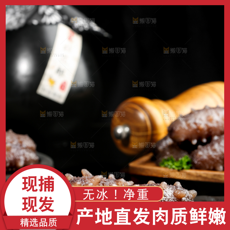 黑石板上的海参