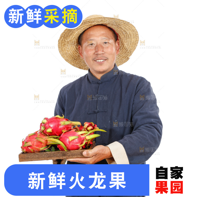 农民手里端着火龙果