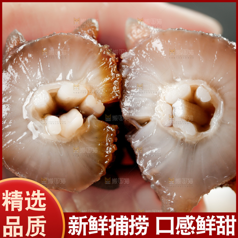 手拿切开的海参