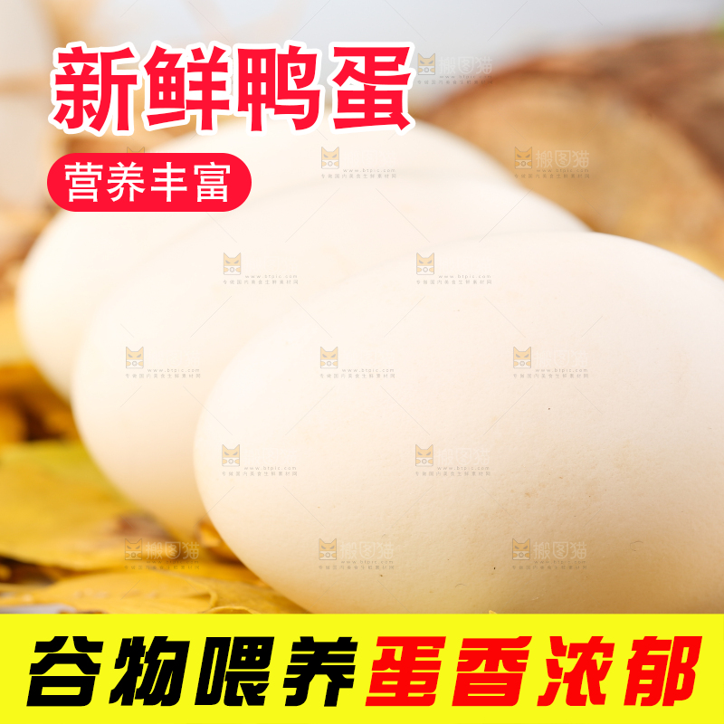 树叶上的鲜鸭蛋