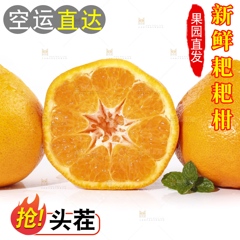 切开的四川耙耙柑放在白底上