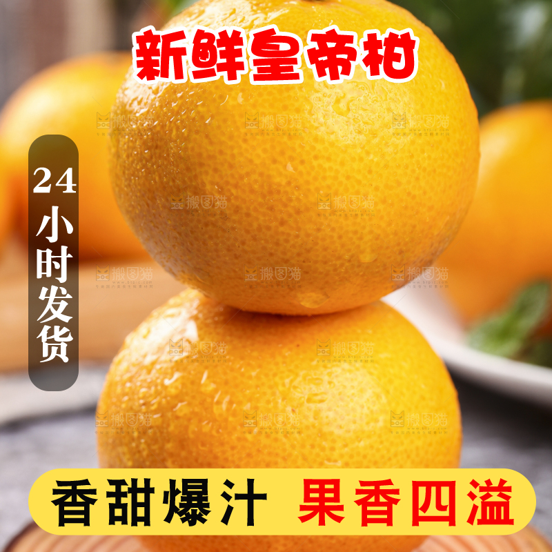 木板上的皇帝贡柑