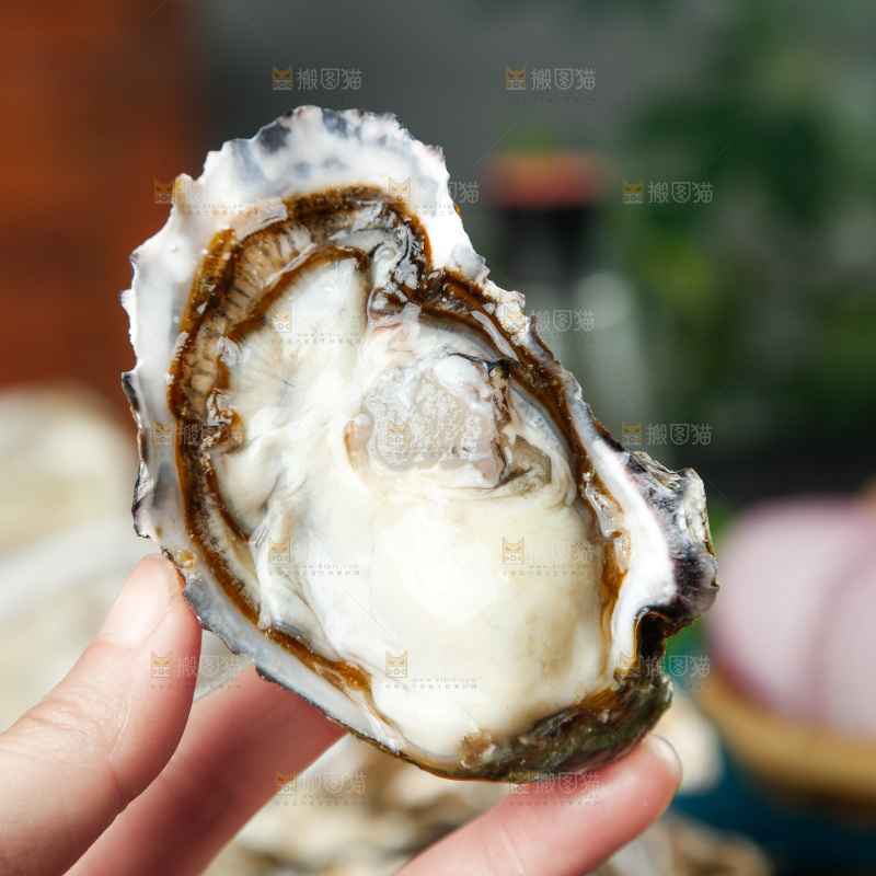 手拿剥开的生蚝