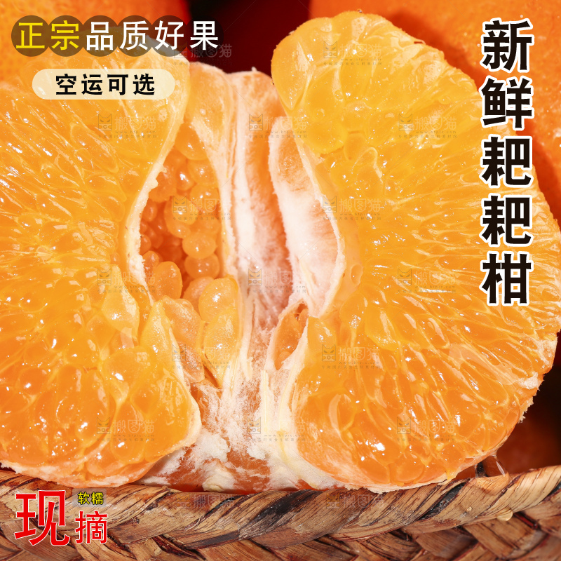 白底上放着一筐耙耙柑