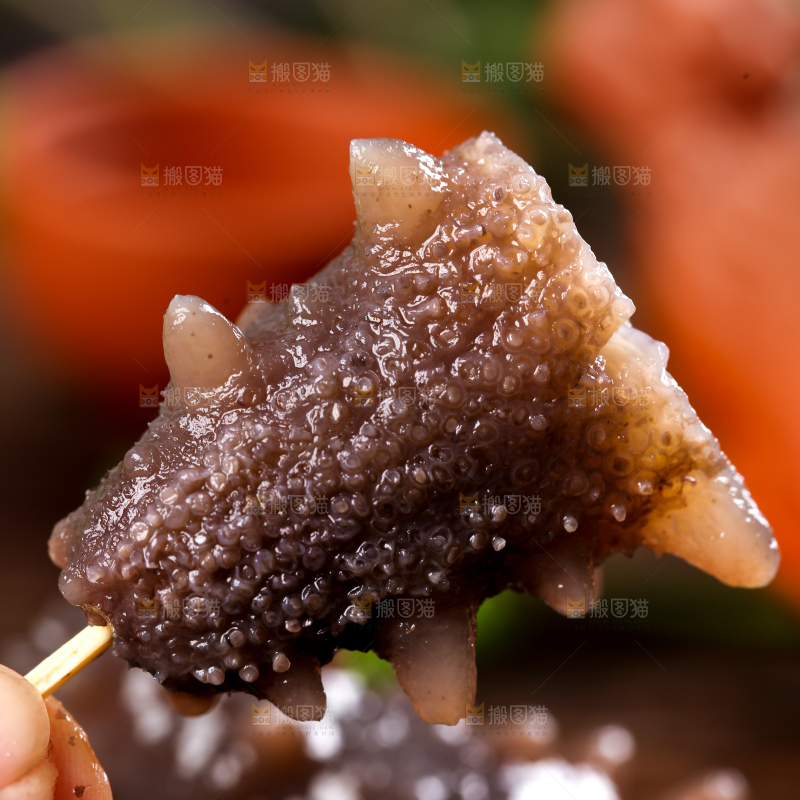 手拿海参