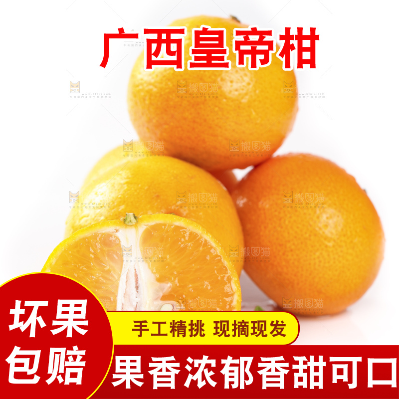 切开的皇帝贡柑放在白底上