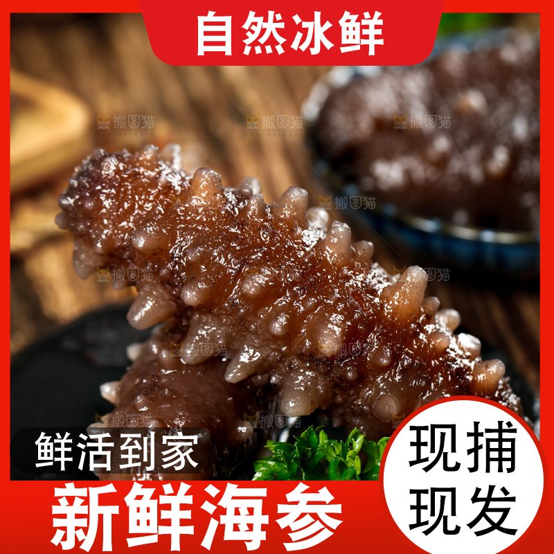 黑石板上的海参