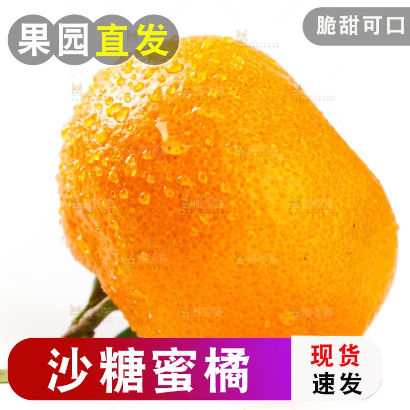 白底上摆放着蜜橘