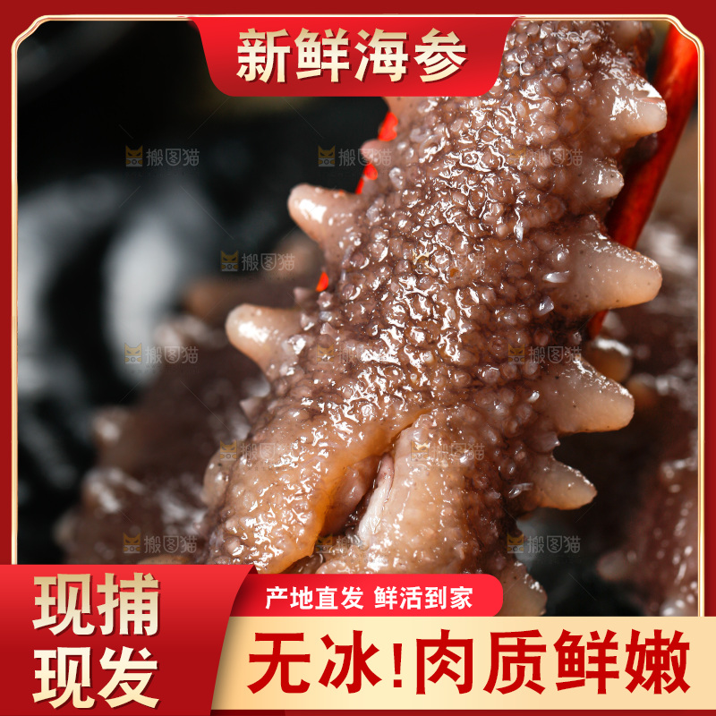 筷子夹着海参