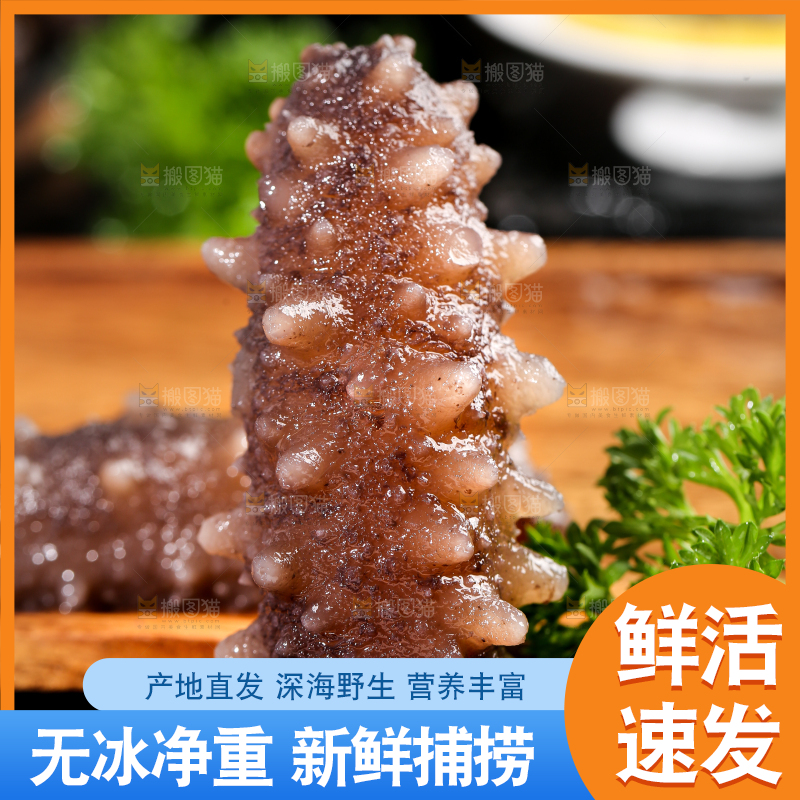 盘子里的海参