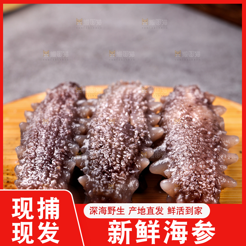 木底上的淡干海参