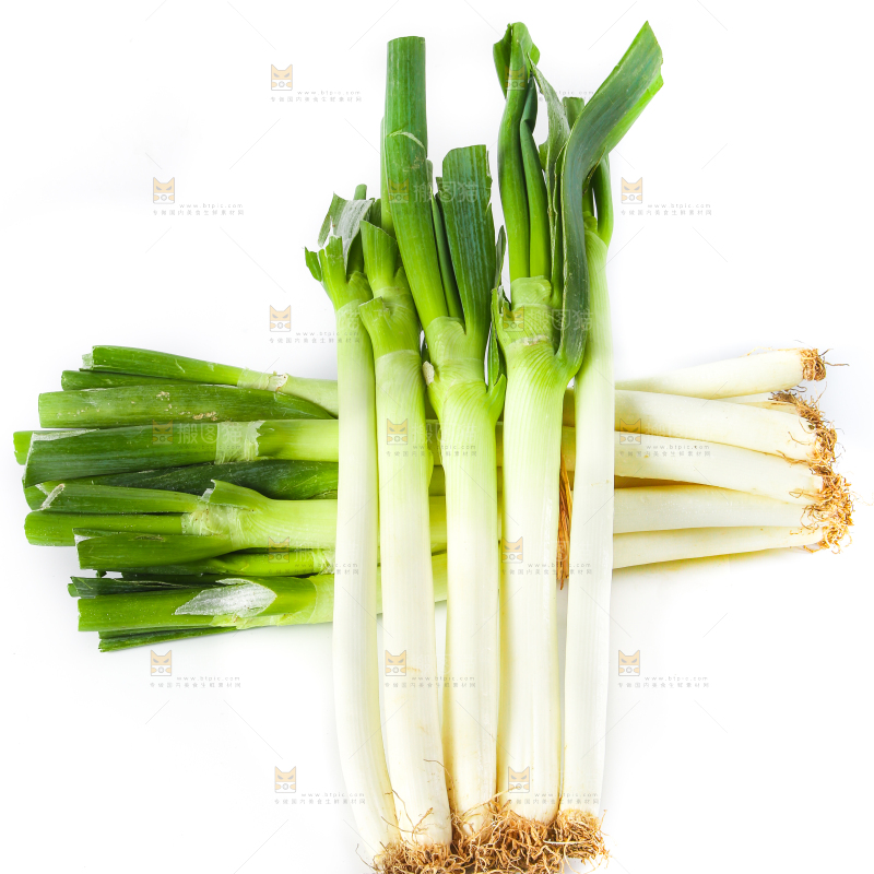 白底上的铁杆大葱