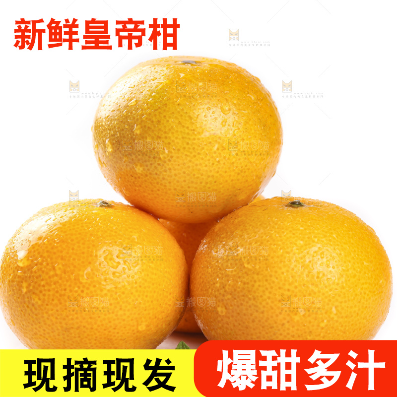 白底上的广西皇帝柑