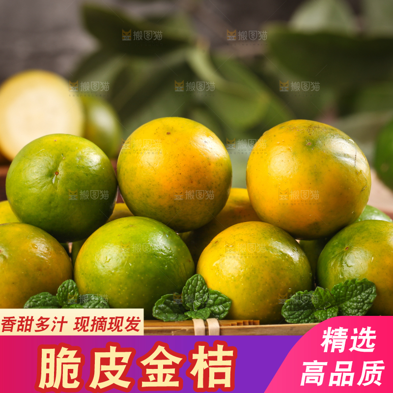 篮子里放着小金桔