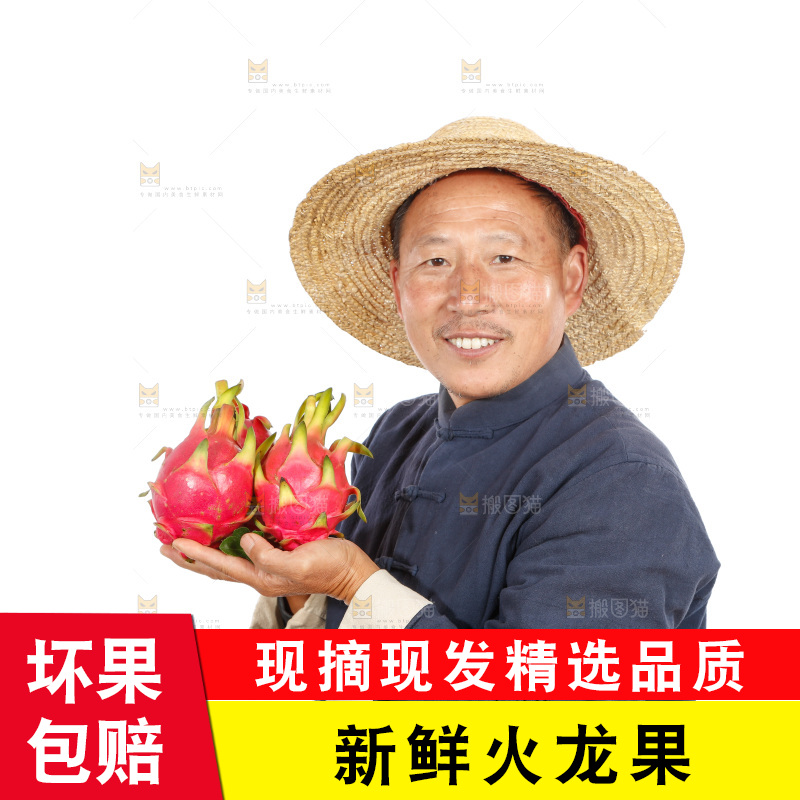 农民手里端着火龙果