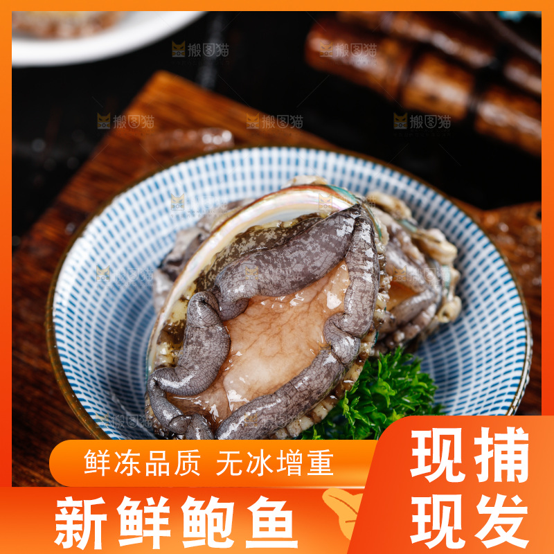 深底上放着一盘鲍鱼