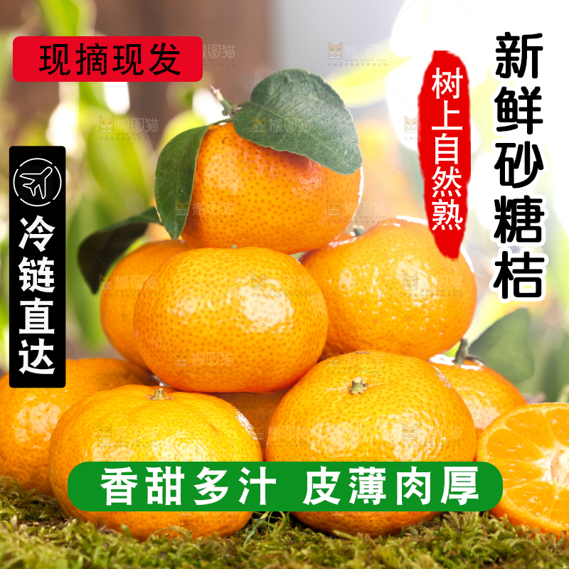 草地上的砂糖橘