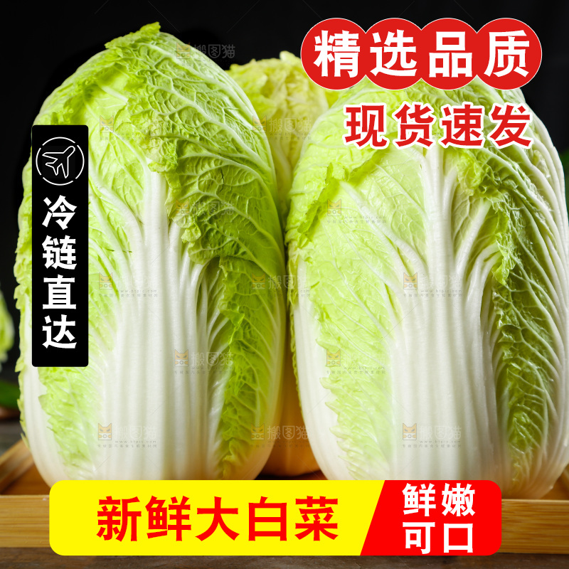 木板上的大白菜