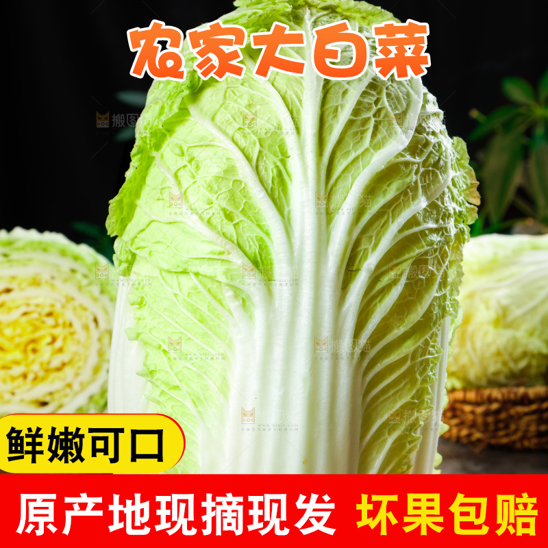 木板上的大白菜