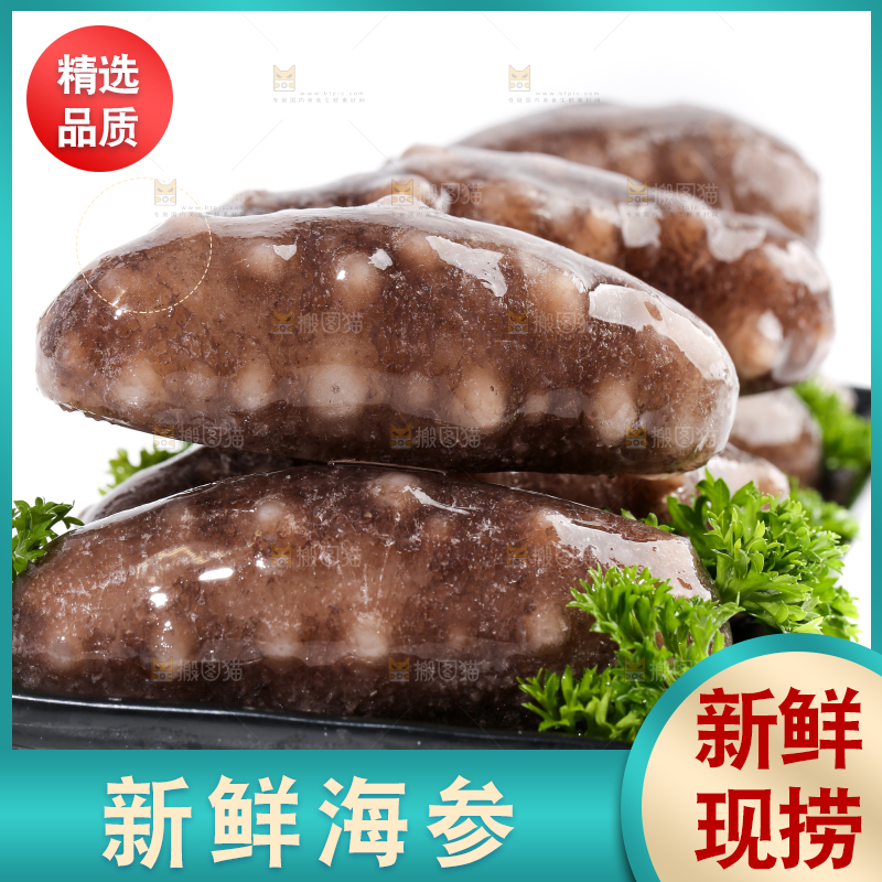一盘刺参放在白底上