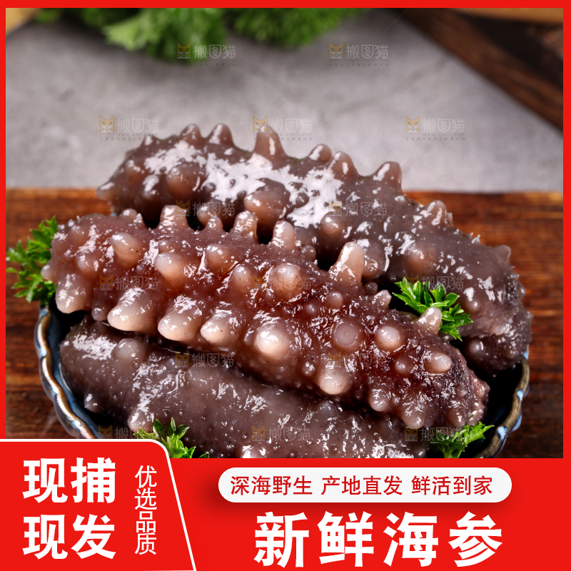 木底上放着一碟海刺参