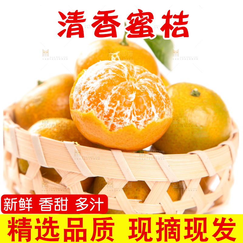 一筐小蜜桔放在白底上