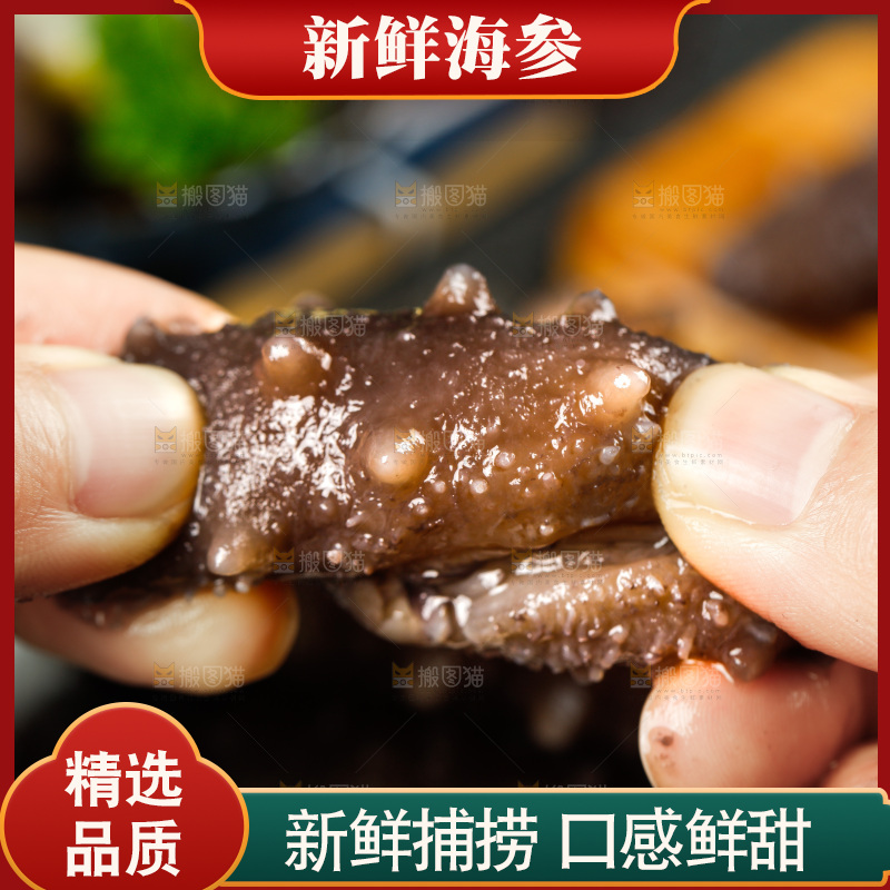 手拿海参