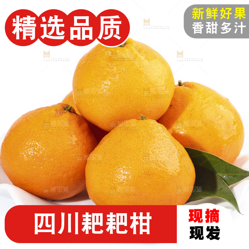 一盘新鲜的耙耙柑放在白底上