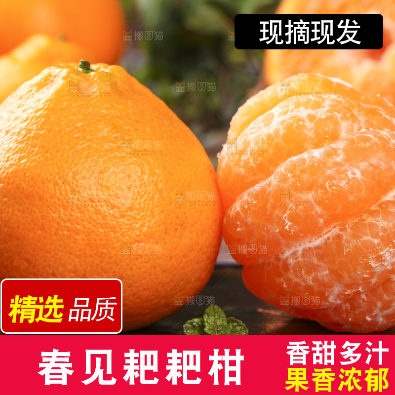 木底上放着剥皮的四川耙耙柑