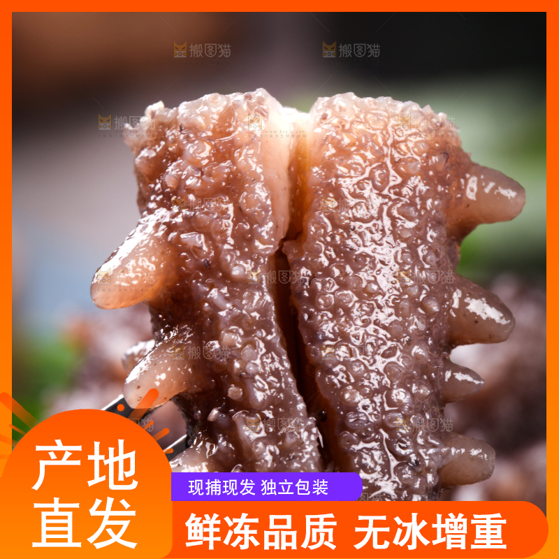 叉子叉着海参