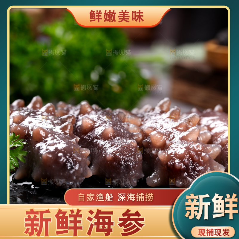 黑石板上的海参