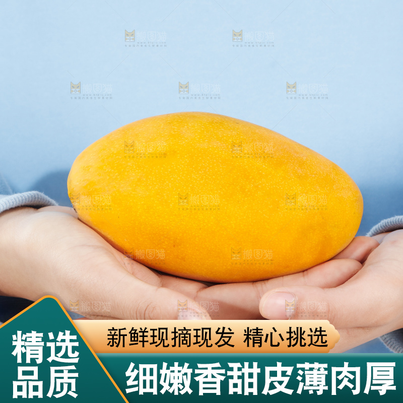 手里拿着芒果