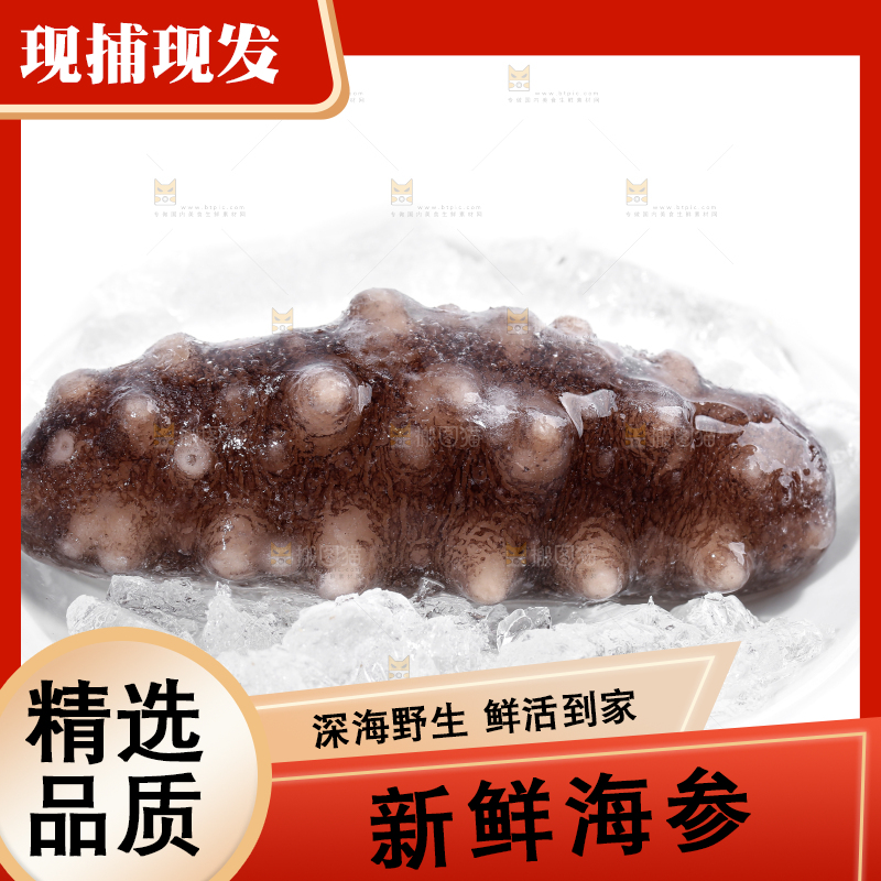 白底上放着一盘冰镇海参