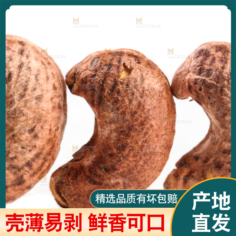 白底上的越南紫皮腰果